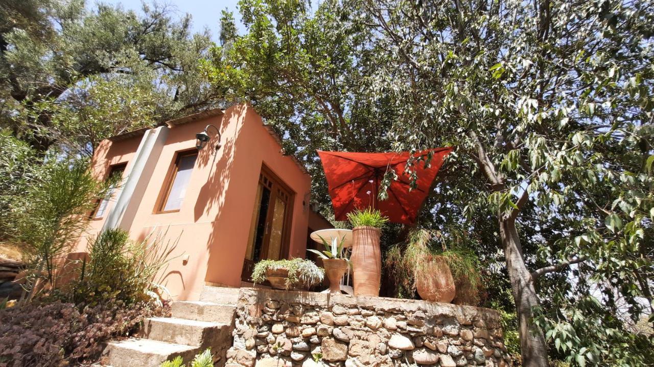 Maroc Lodge Atlas Mountain Retreat Amizmiz 外观 照片