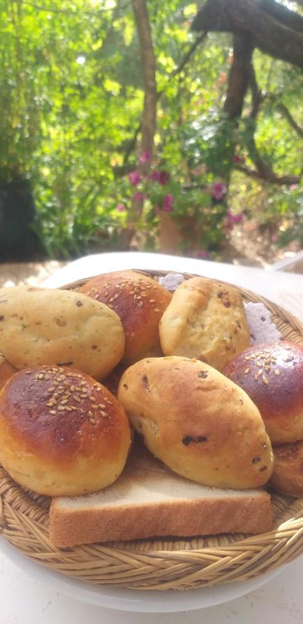 Maroc Lodge Atlas Mountain Retreat Amizmiz 外观 照片