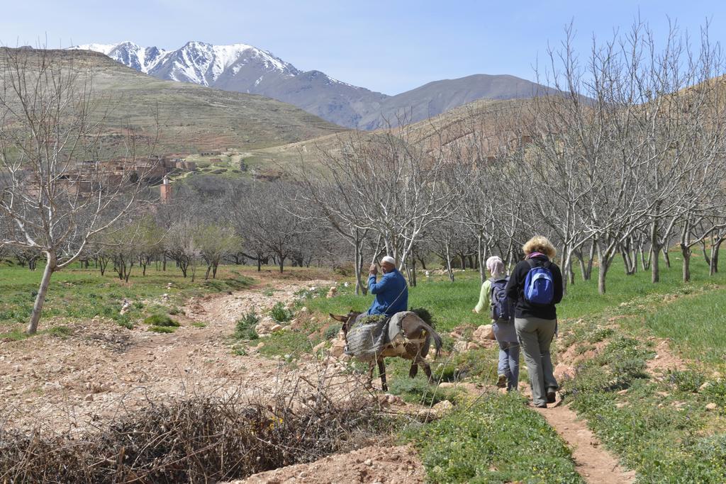 Maroc Lodge Atlas Mountain Retreat Amizmiz 外观 照片